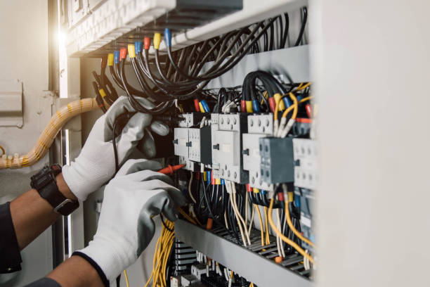 Best Electric Panel Repair  in Silver Bay, MN